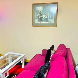 Affordable At Great Choice Guest Houses Cape Town