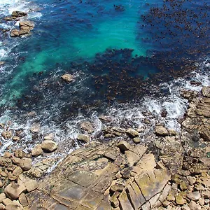 Ambassador And Self Catering Cape Town